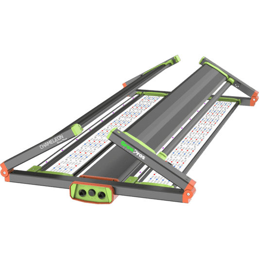 Chameleon LED Grow Light 4x4