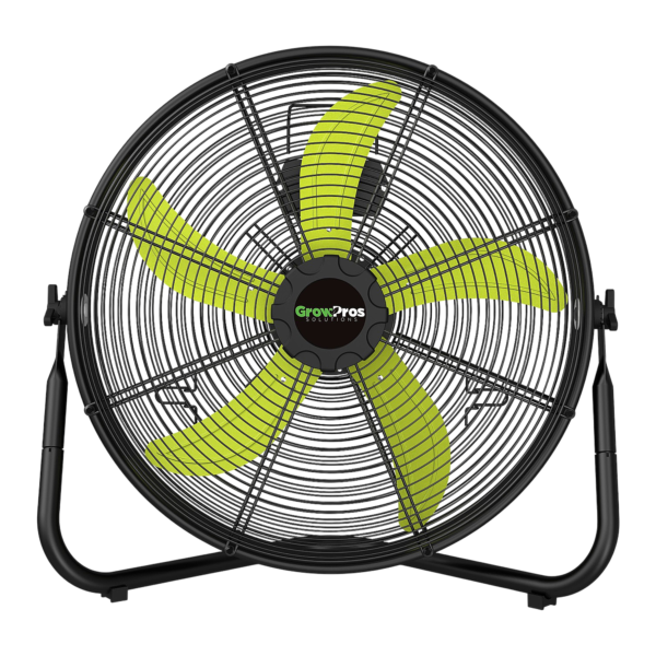 Wall Fan floor fan for indoor air circulation