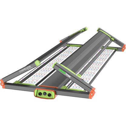 Chameleon LED Grow Light  4x4