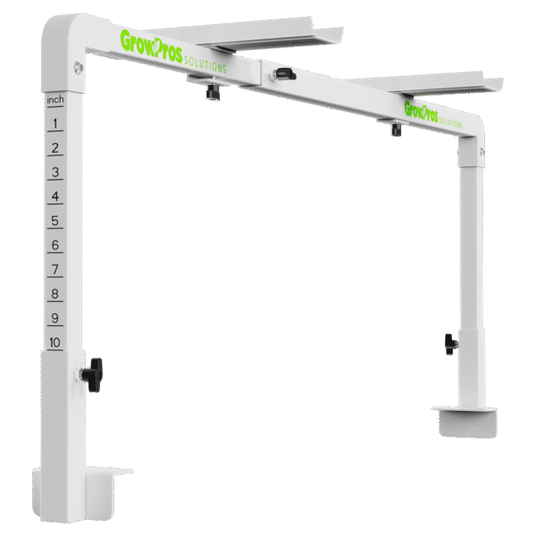 Under Canopy Light Bench Bridge Stands