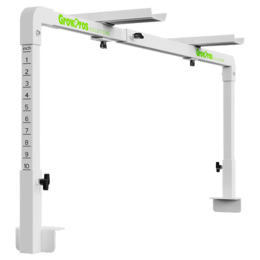 Under Canopy Light Bench Bridge Stands
